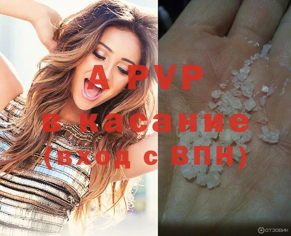 соль ск Волосово
